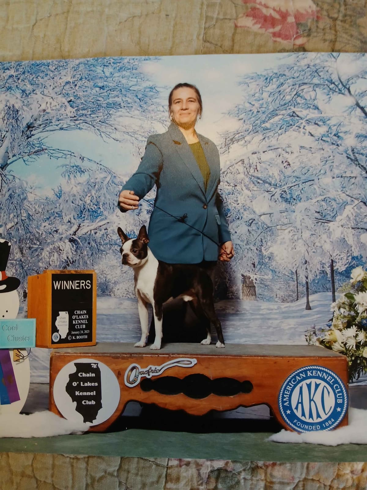 Bulldog Puppies breeder image 2