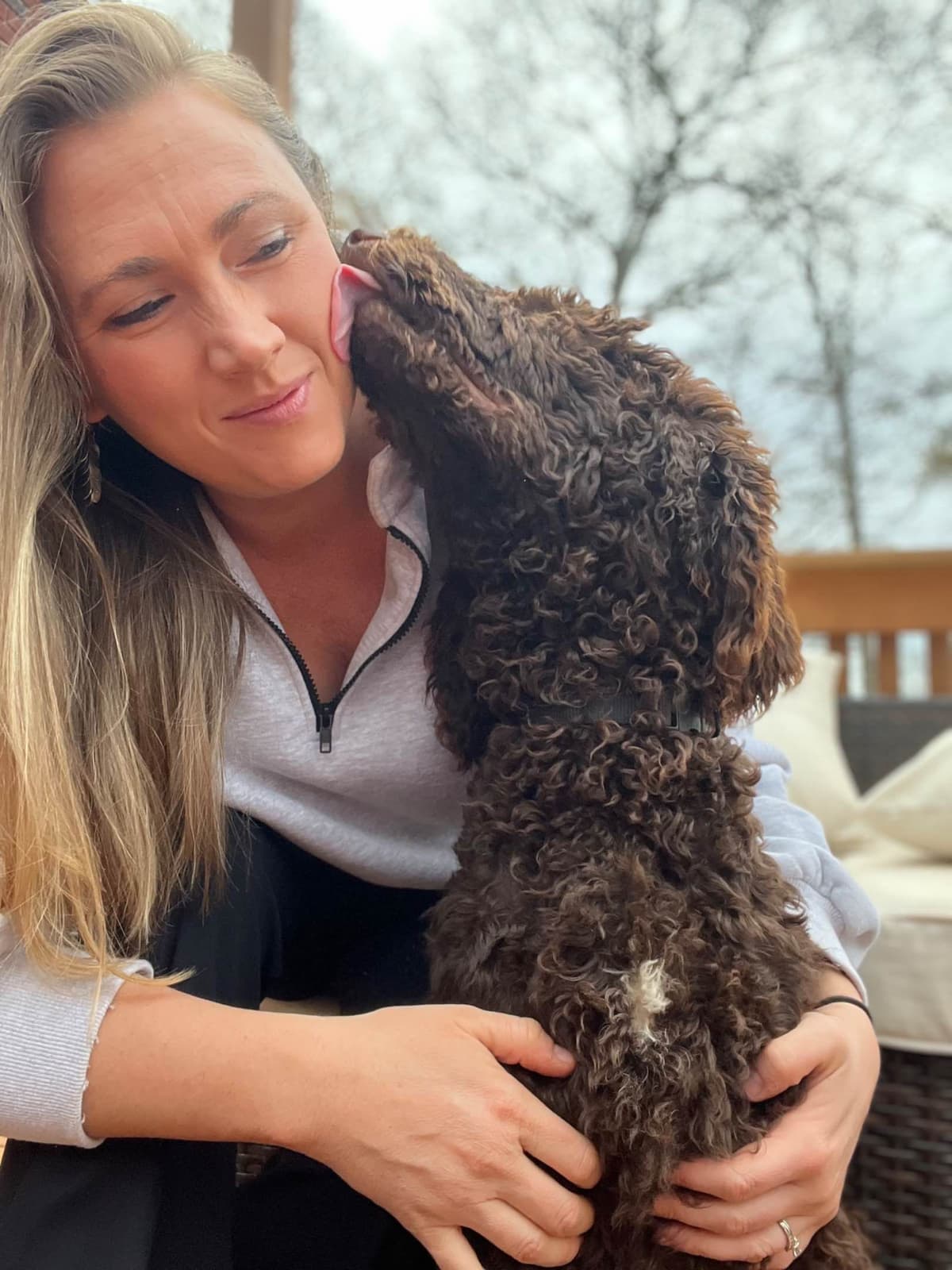 Poodle Puppies breeder image 1