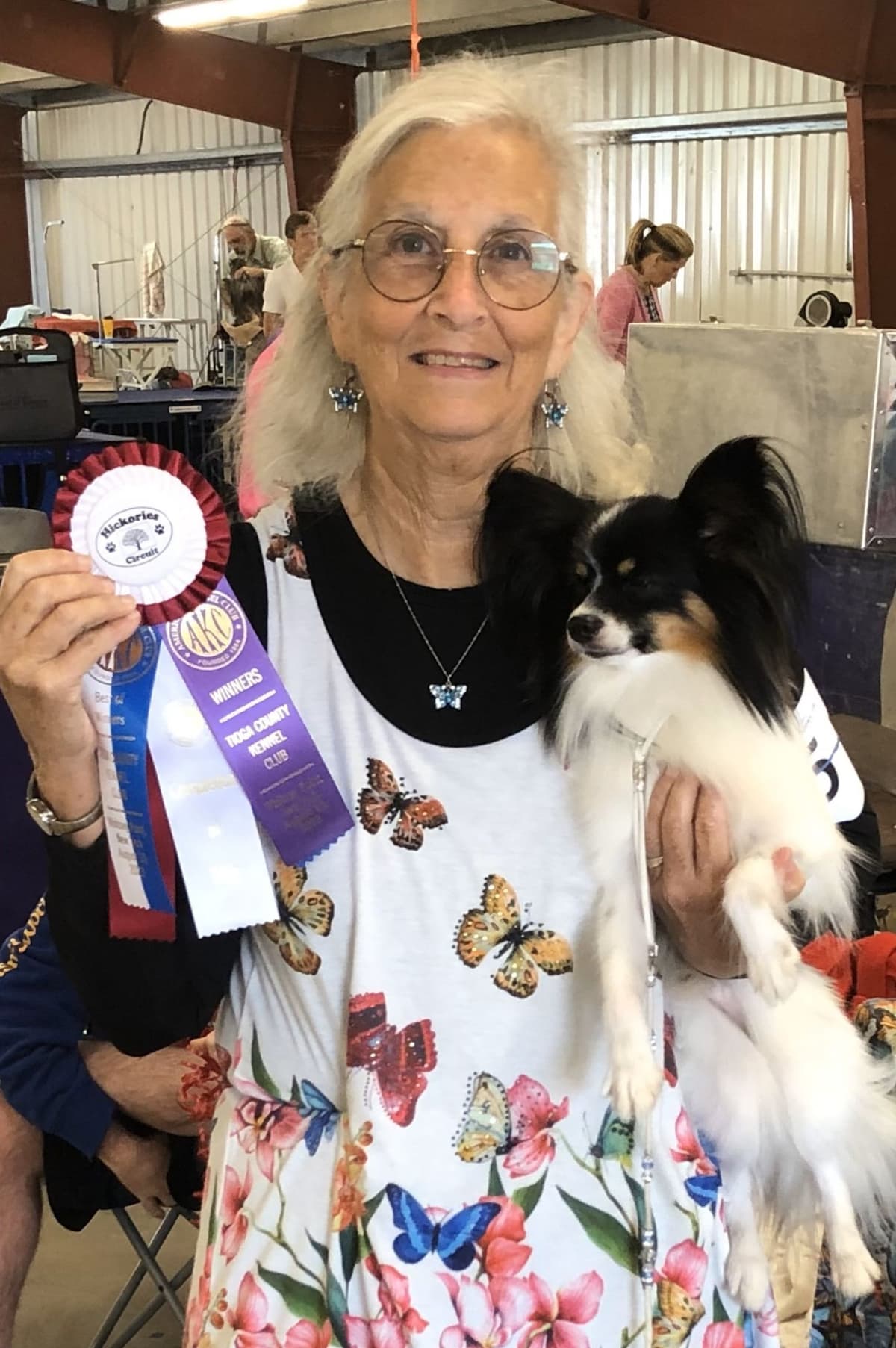 Bunny a Female Papillon for sell breeder image 8