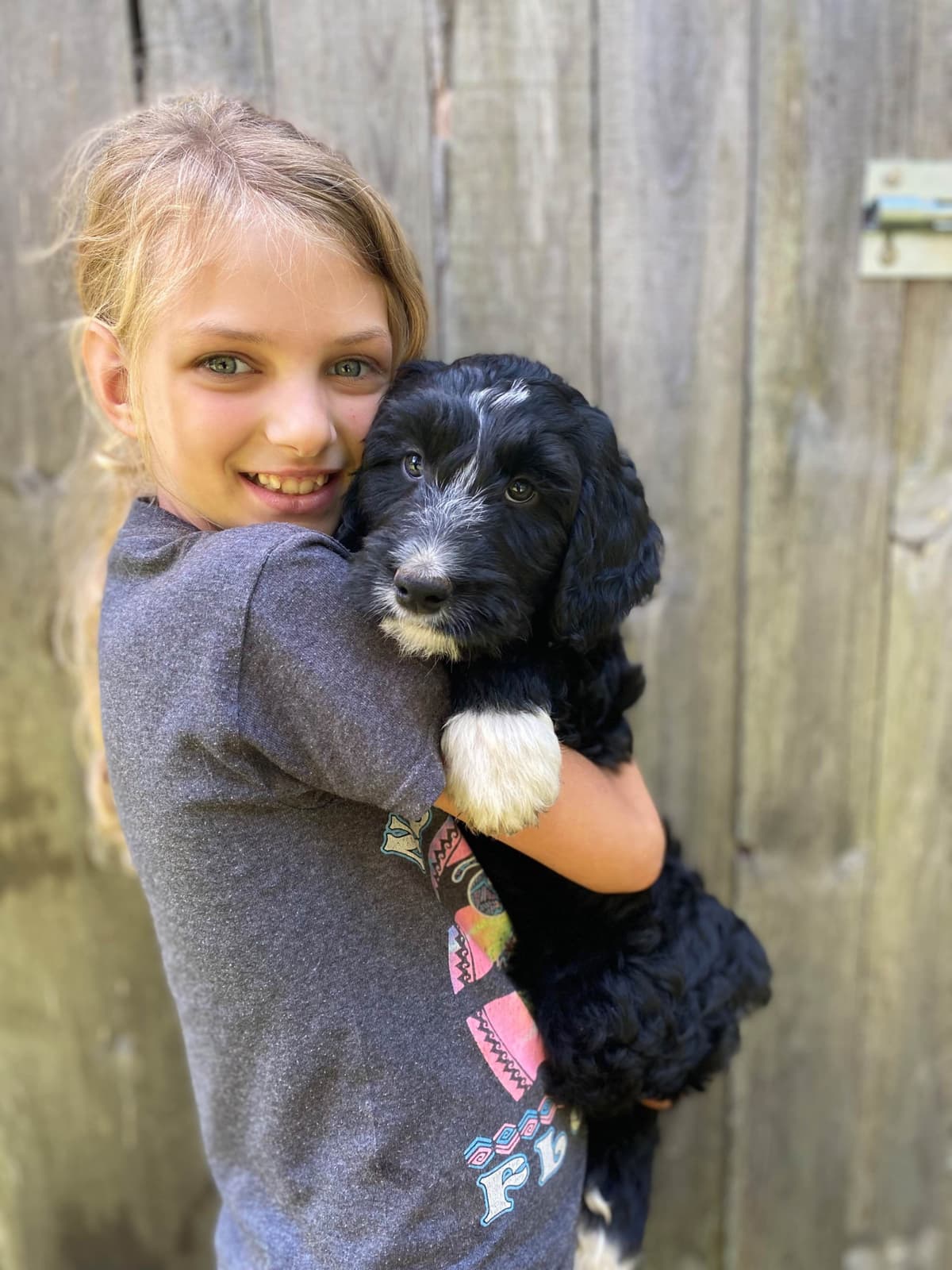 Barbet Puppies breeder image 3