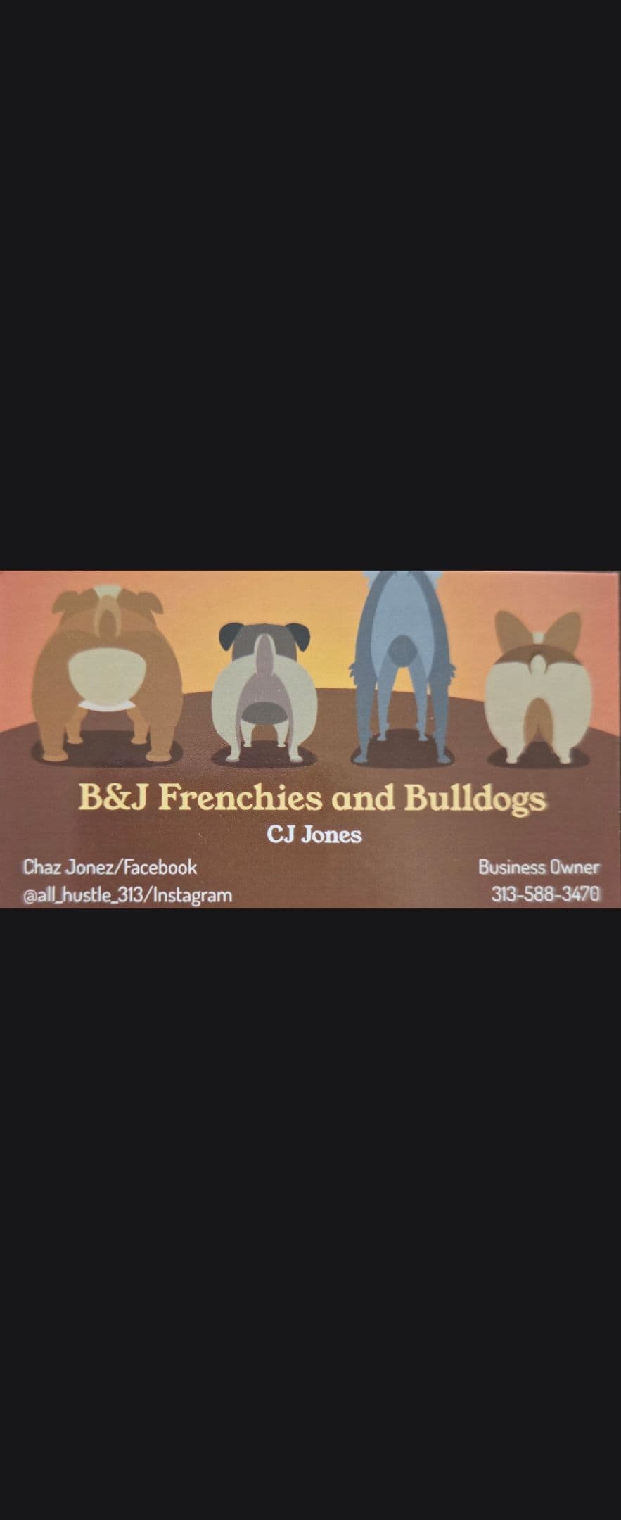 French Bulldog Puppies breeder image 1