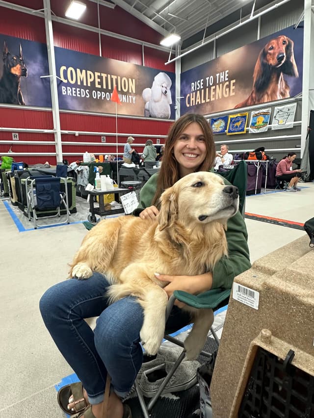 Golden Retriever Puppies media 4
