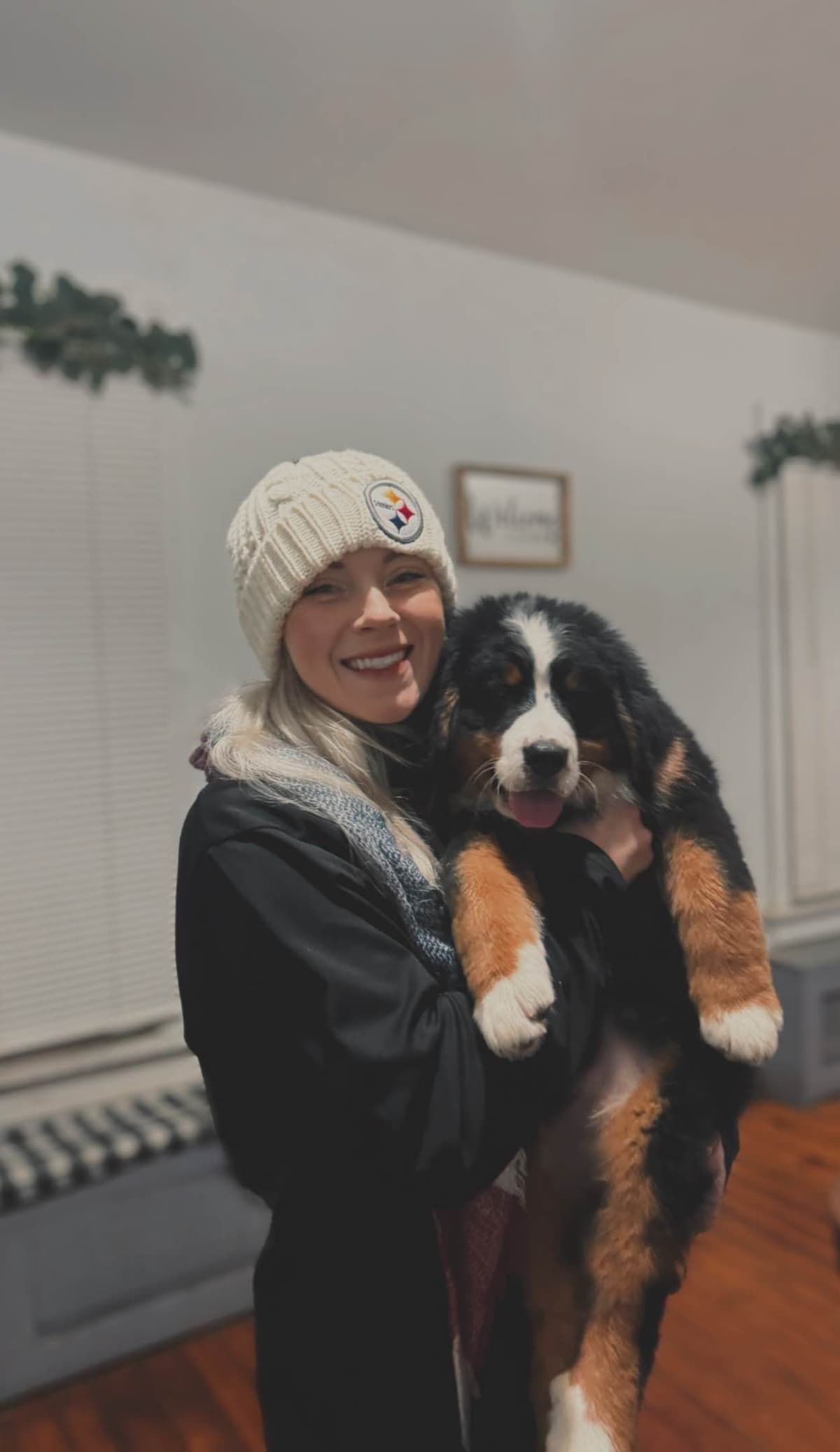 Akc Bernese Mountain Dog Puppy breeder image 12