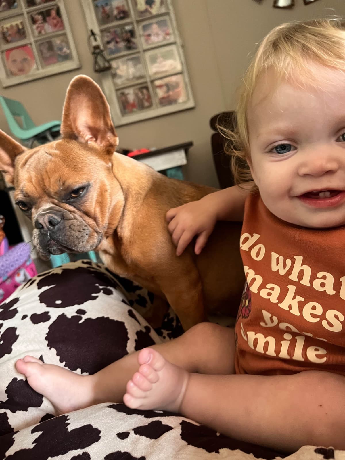 French Bulldog Puppies breeder image 4