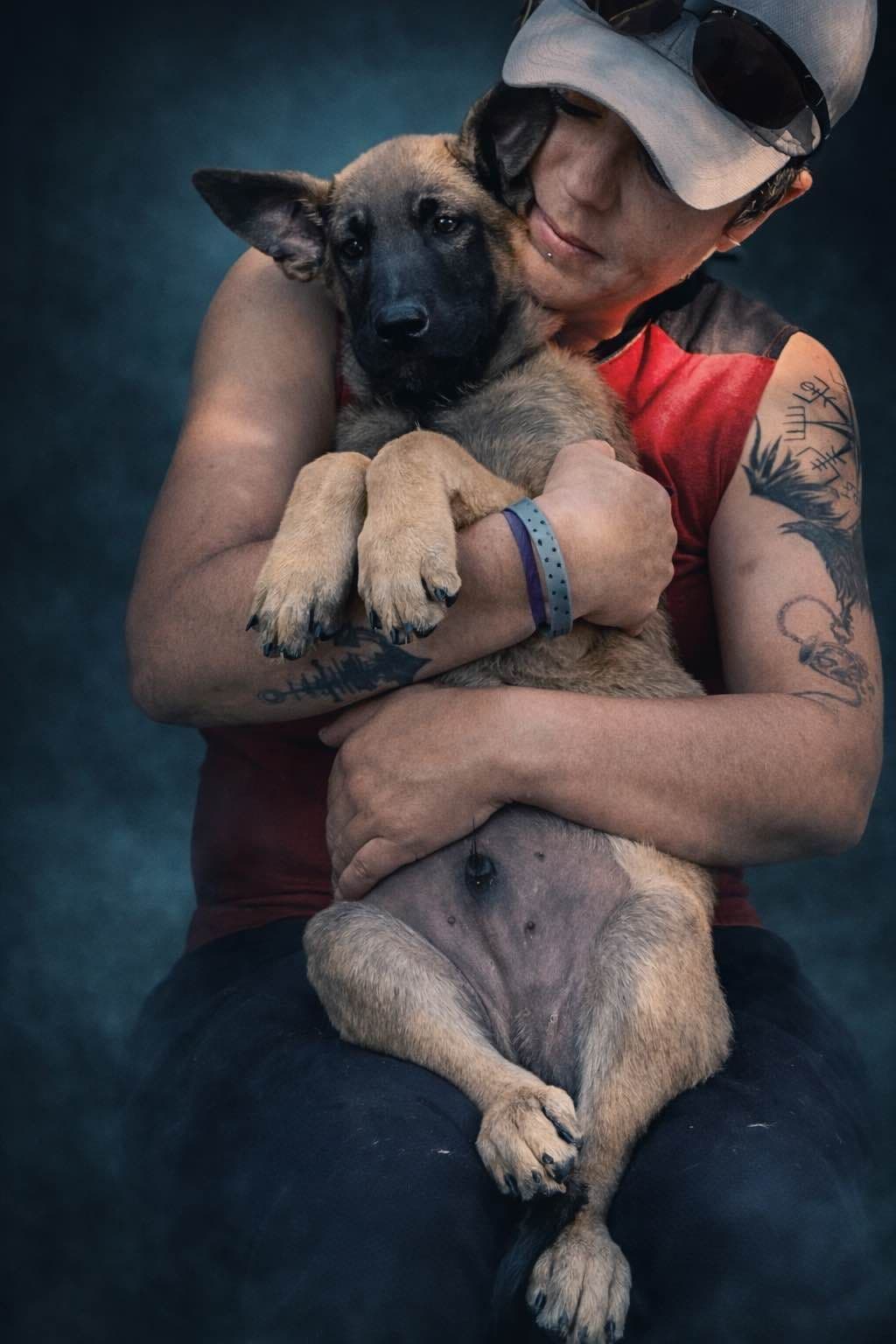 Laeknir K9 Belgian Malinois breeder image 13