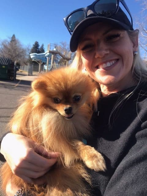 Pomeranian Puppies breeder image 3