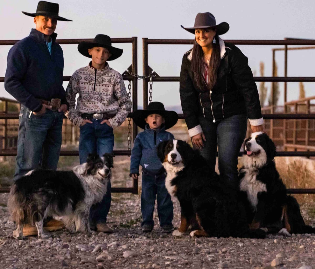 Idaho Ranch Raised Bernese Mountain Puppies | Exceptional Bloodlines breeder image 1