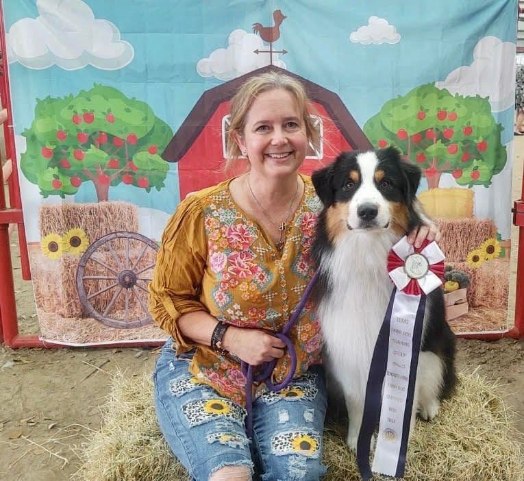 Australian Shepherd Puppies breeder image 1