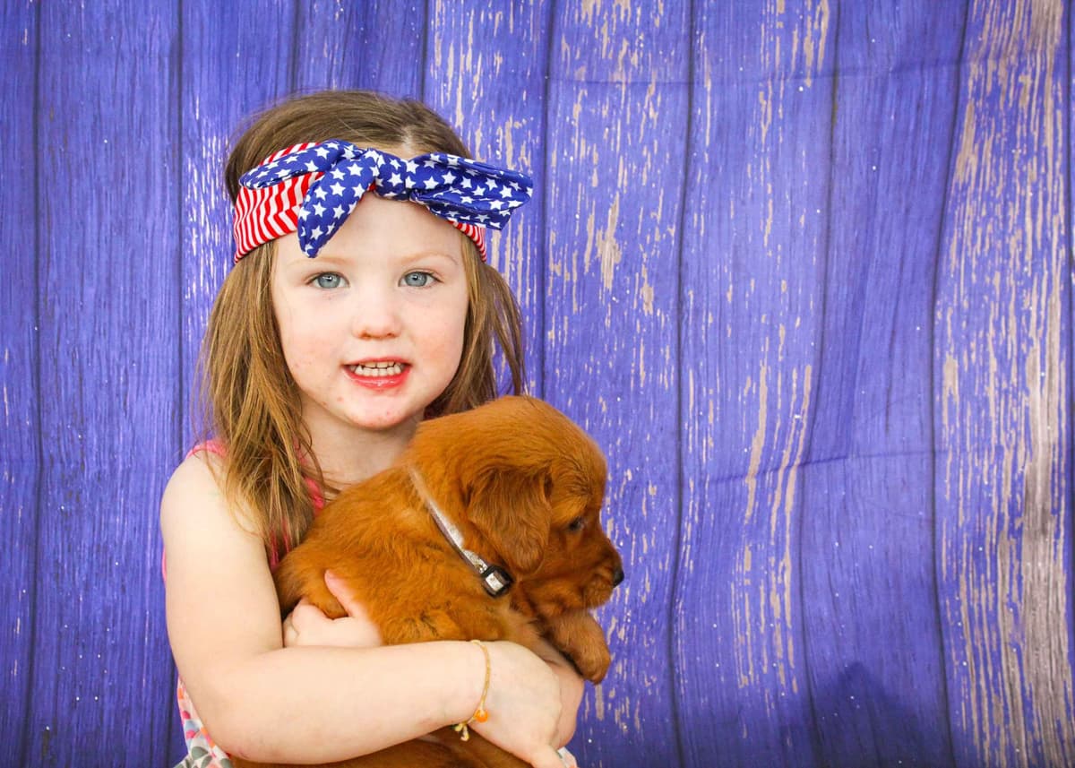 Faith's Golden Egg Litter breeder image 6