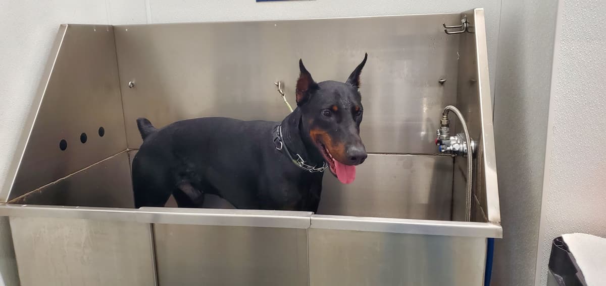 Full Euro Line breeder image 18