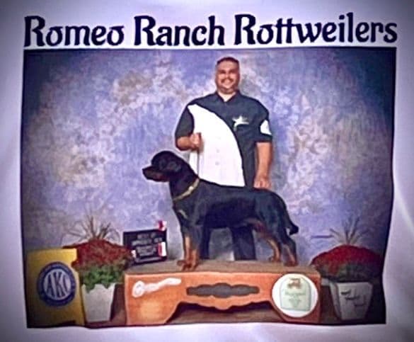 Romeo Ranch Rottweiler Puppies 4054098923 breeder image 13
