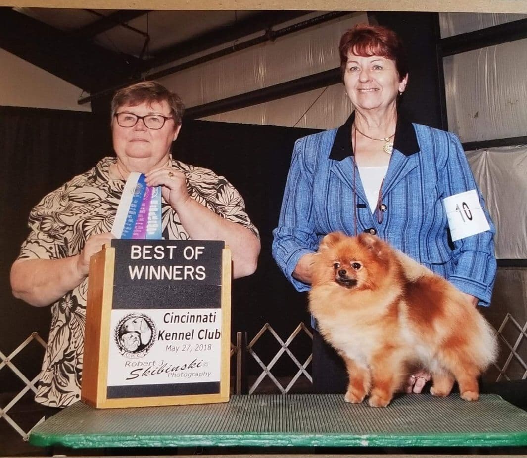 MOUNTAIN VALLEY POMS breeder image 15