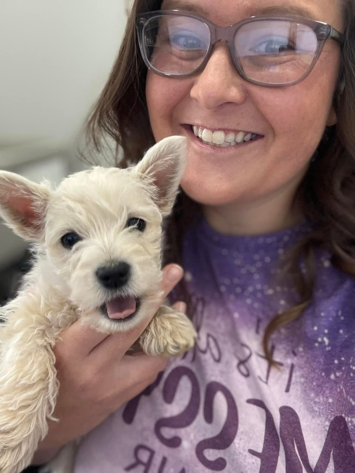 West Highland White Terrier Puppies breeder image 7
