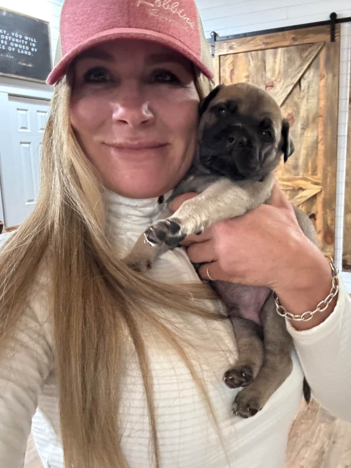 Bullmastiff Puppies breeder image 1