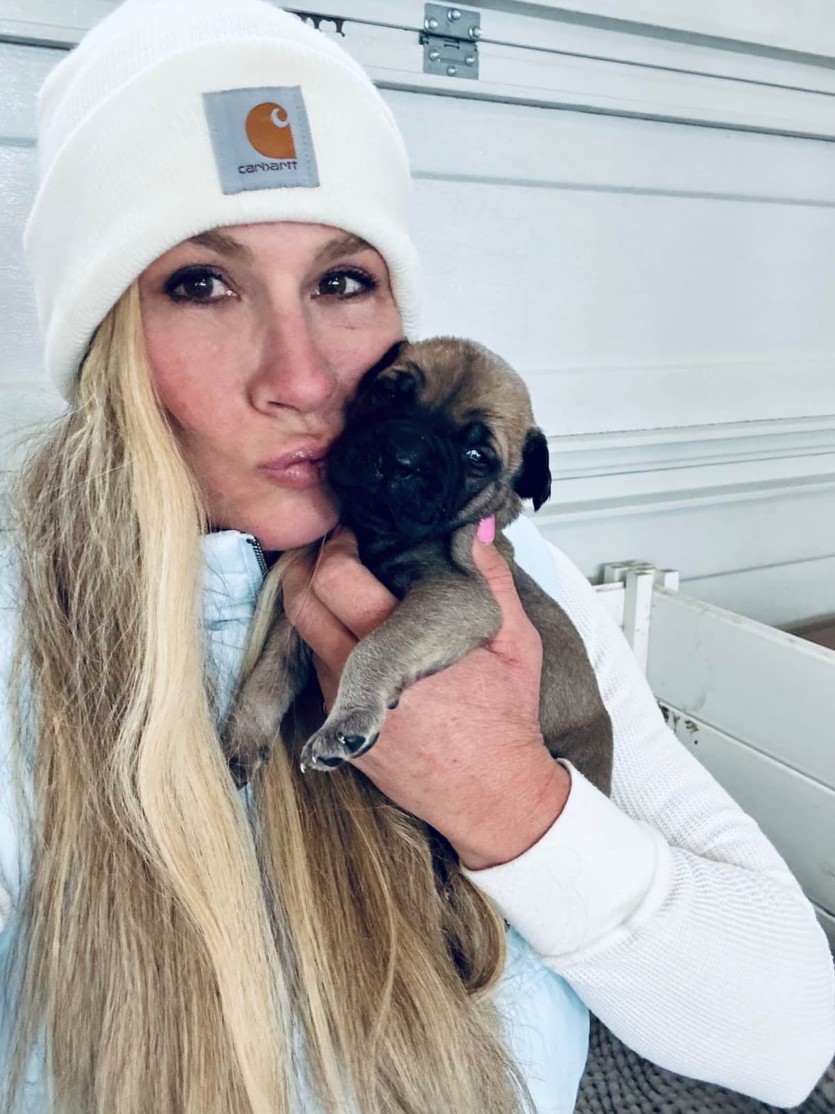 Bullmastiff Puppies breeder image 3