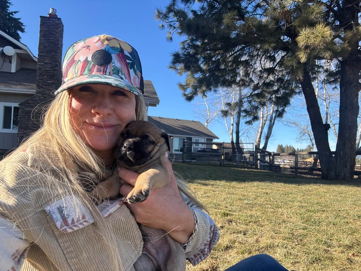 Bullmastiff Puppies breeder image 15