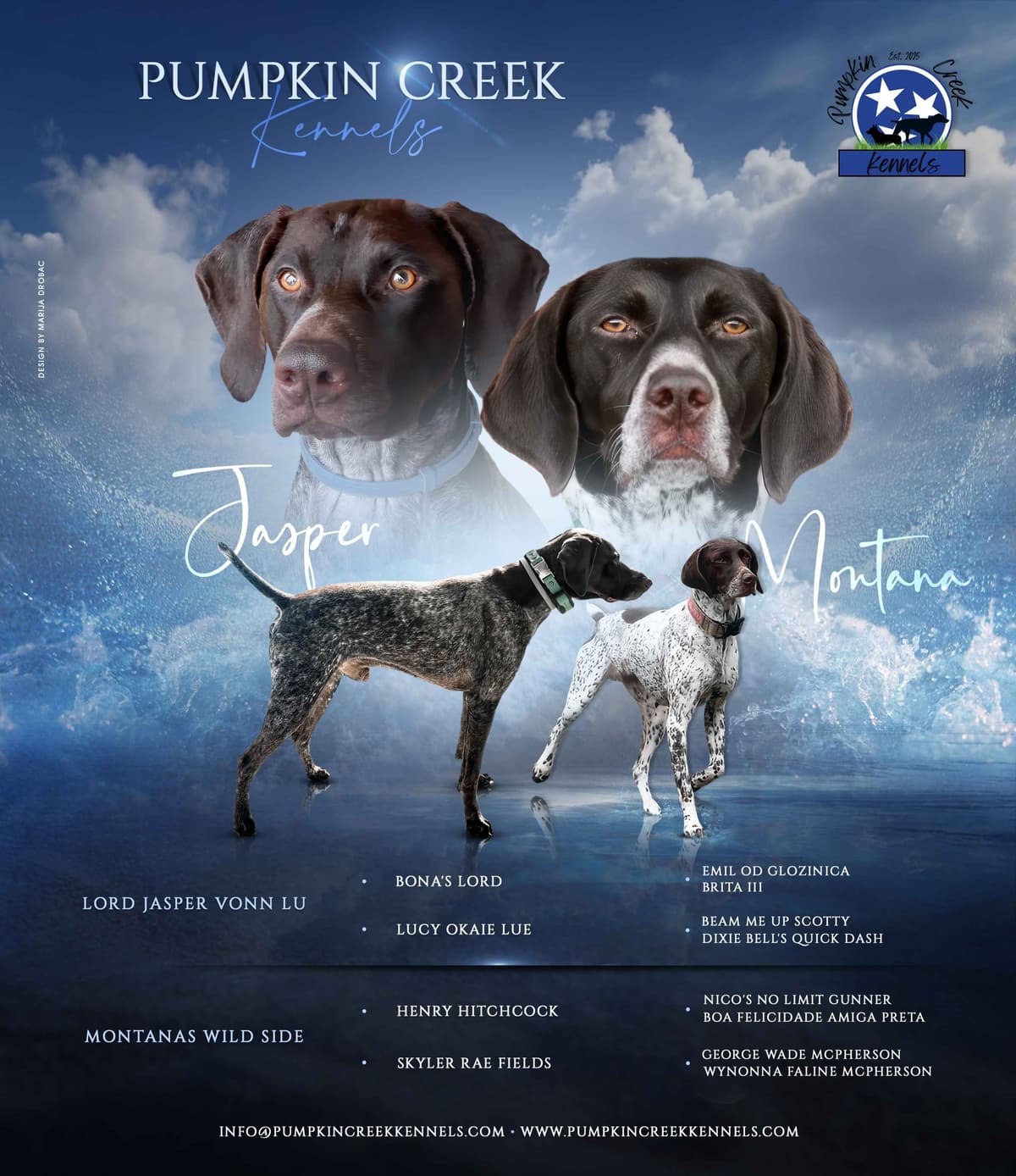 German Shorthaired Pointer Puppies breeder image 10