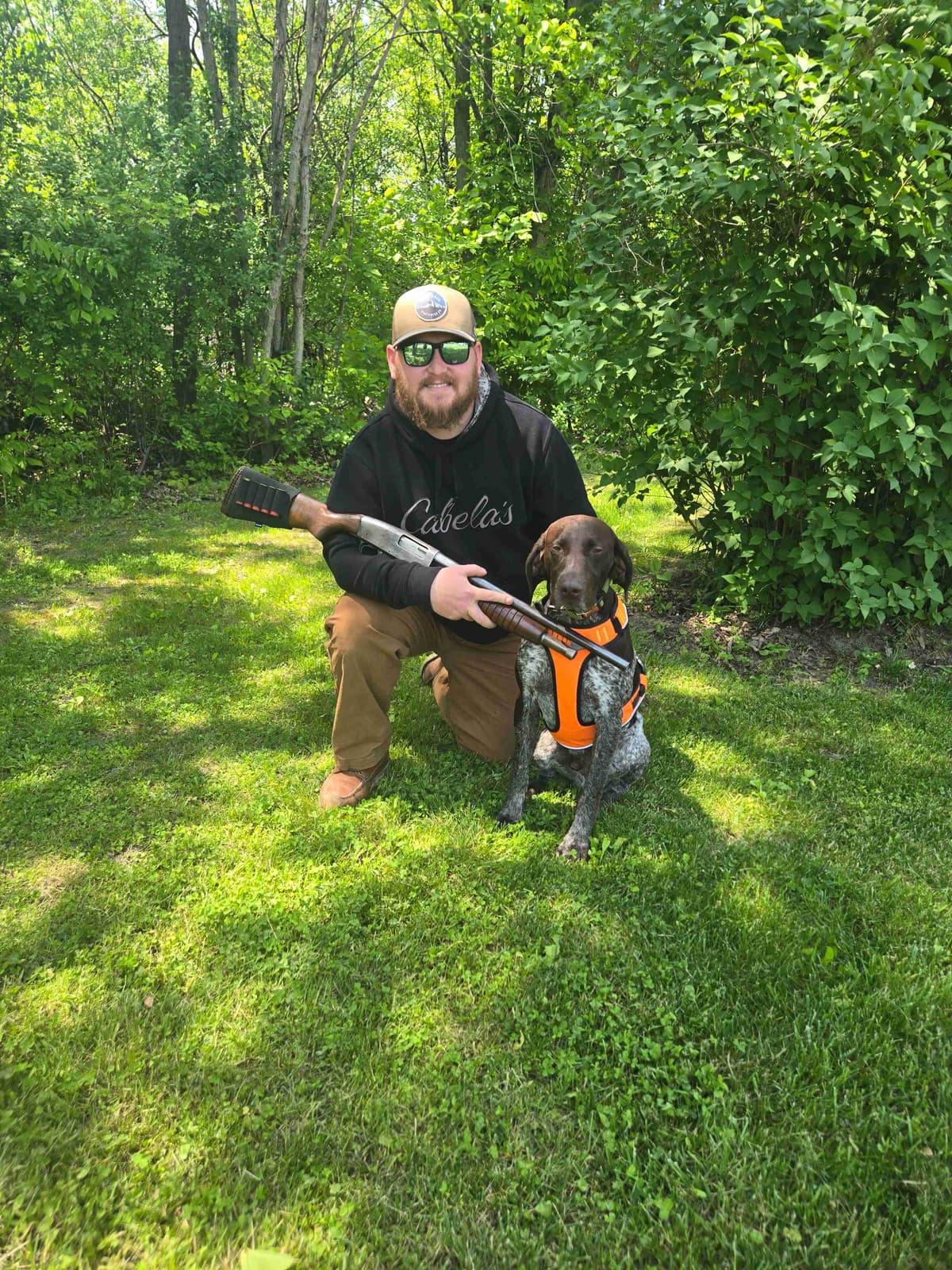 German Shorthaired Pointer Puppies breeder image 3