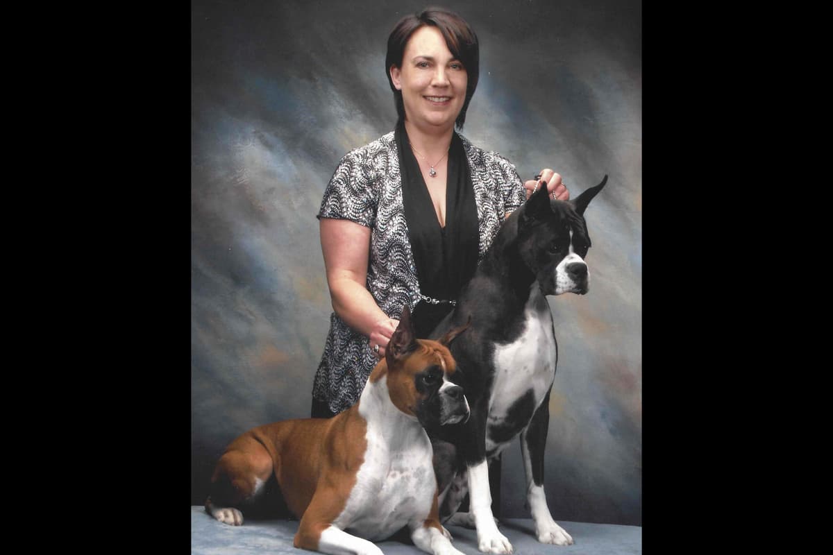 Boxer Puppies - 35 Years Responsible Breeder breeder image 3