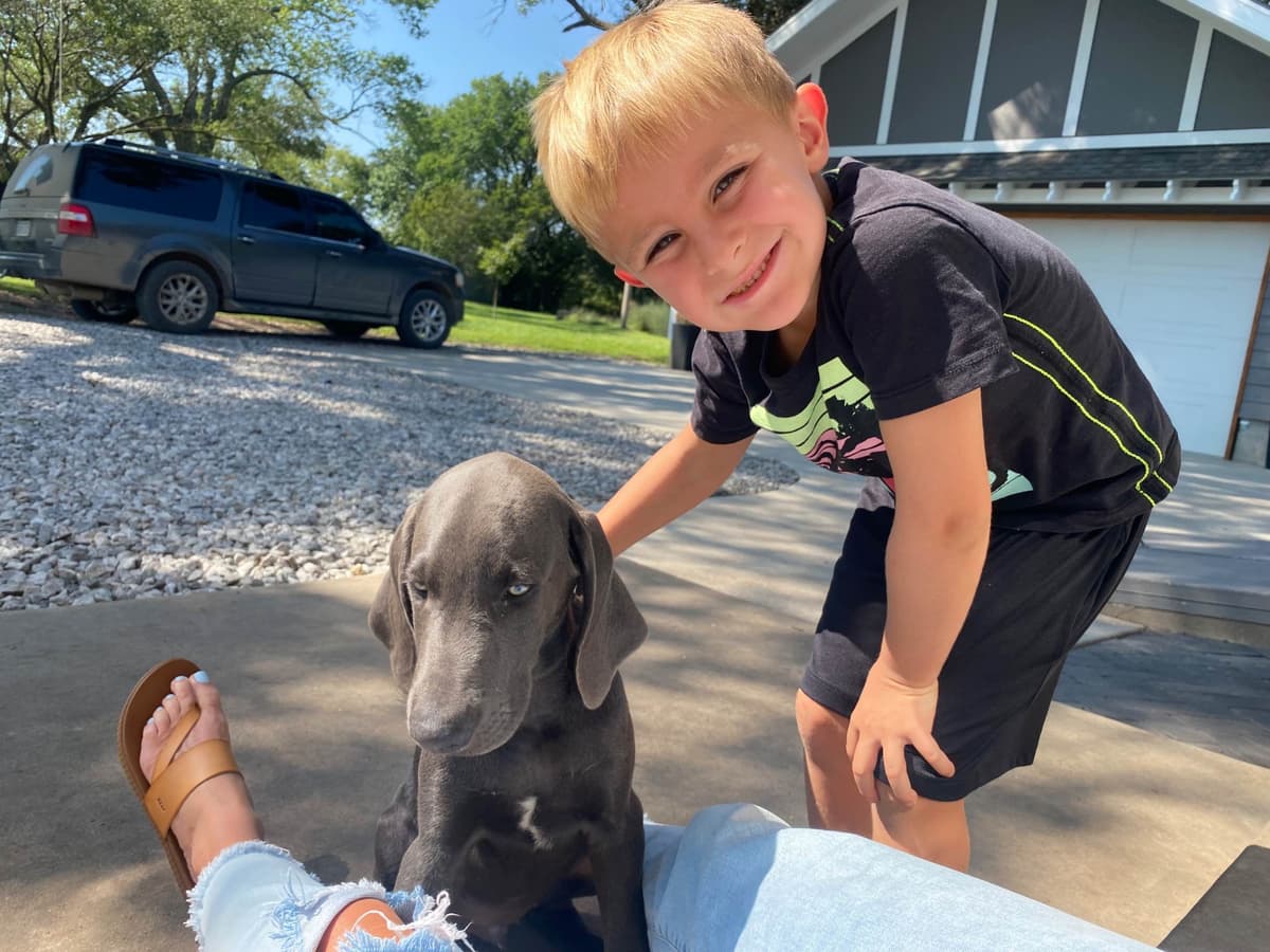Weimaraner Puppies breeder image 8