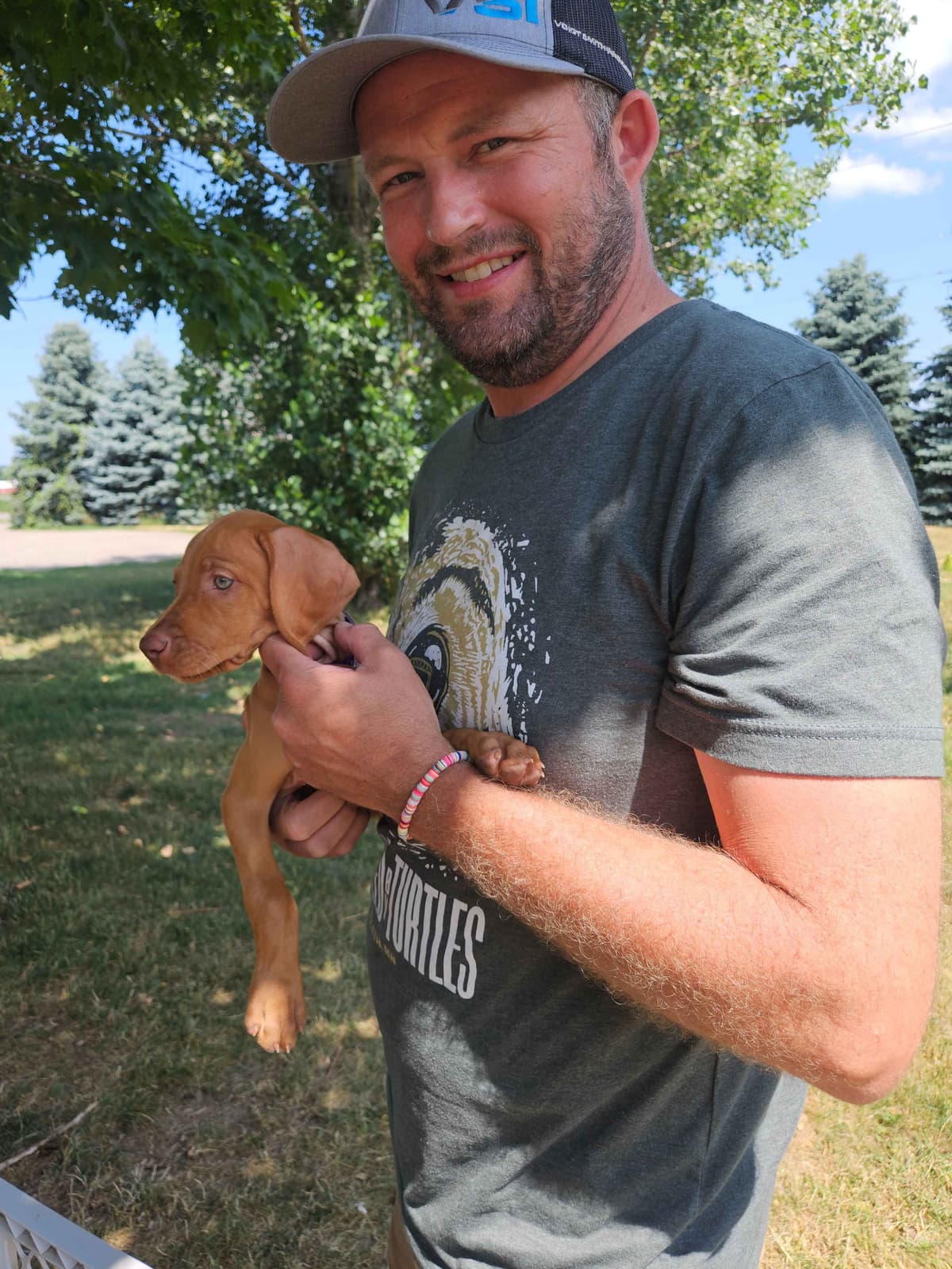 Vizsla Puppies breeder image 20
