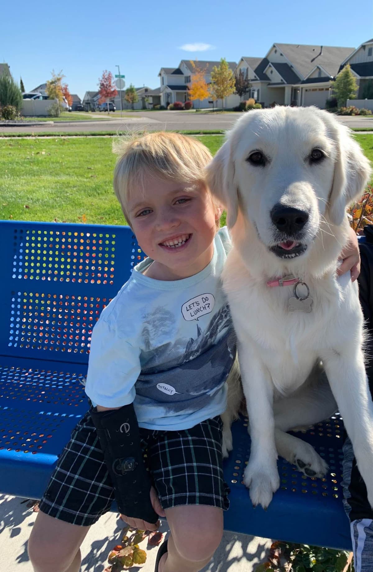 Golden Retriever Puppies breeder image 1
