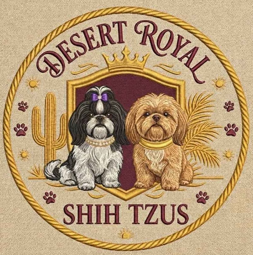 Shih Tzu Puppies breeder image 4