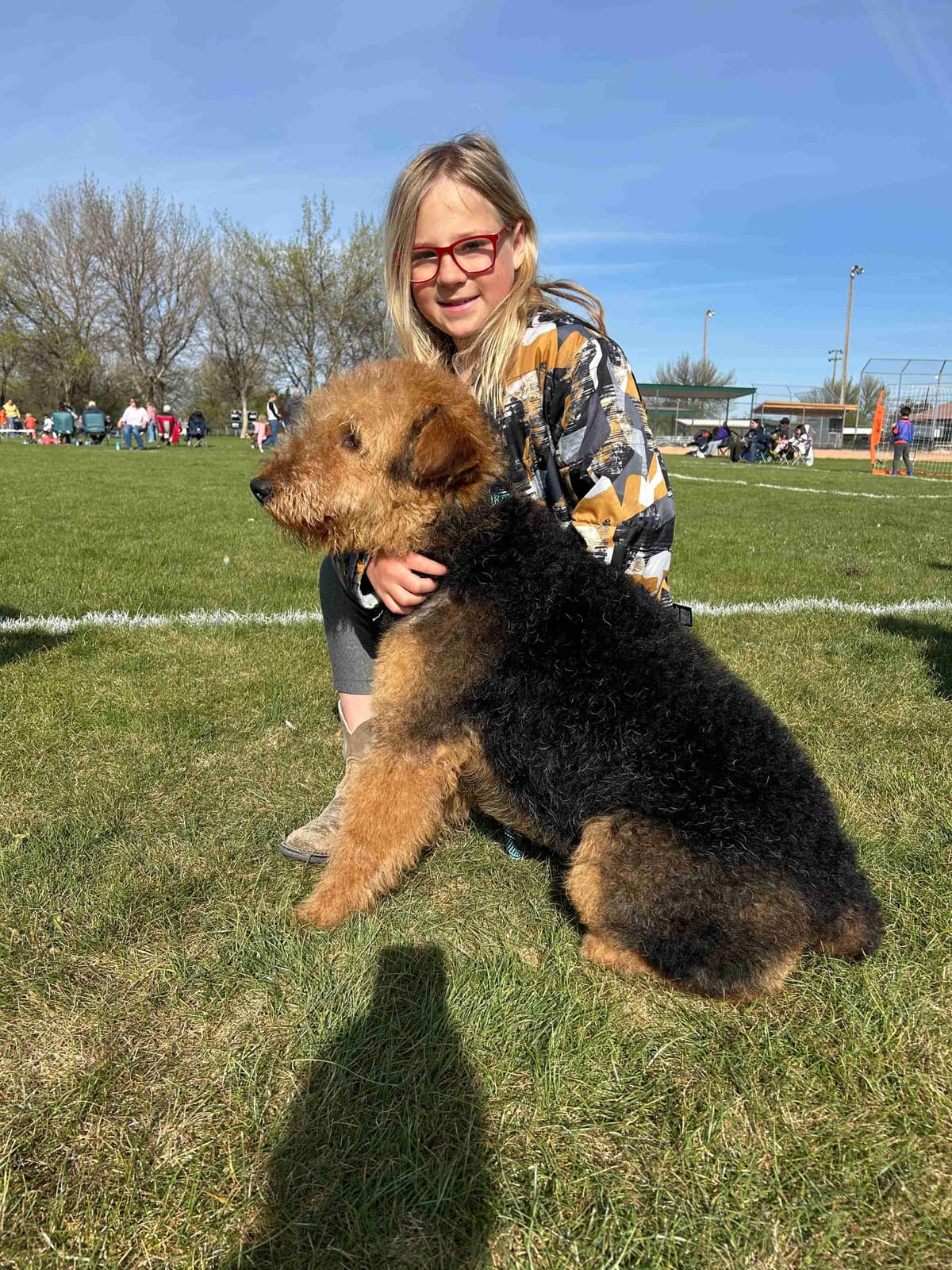 Large-boned, working Airedale Terrier Puppies breeder image 7
