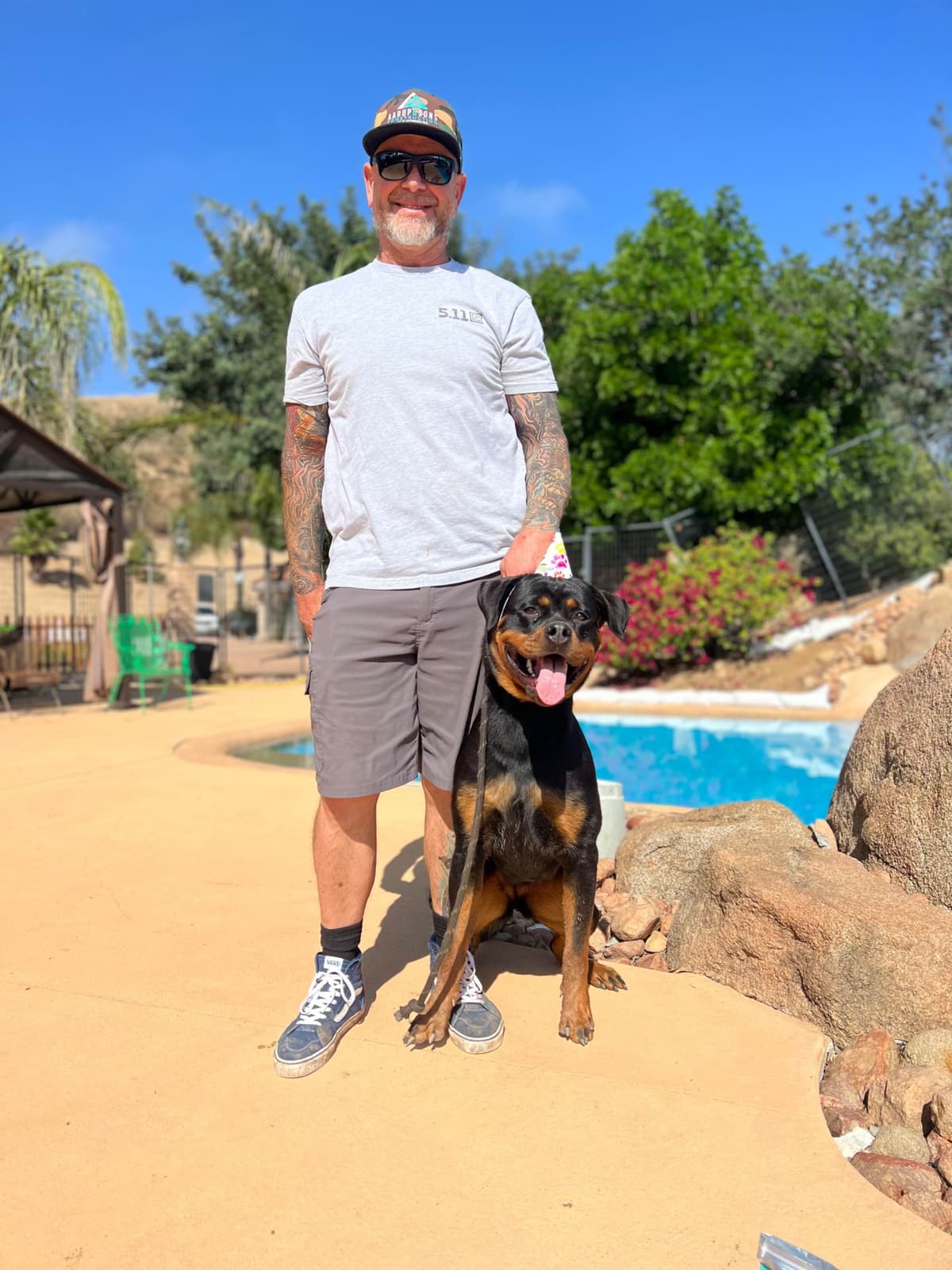 German Rottweiler Puppies, Champion and Working Bloodlines breeder image 20