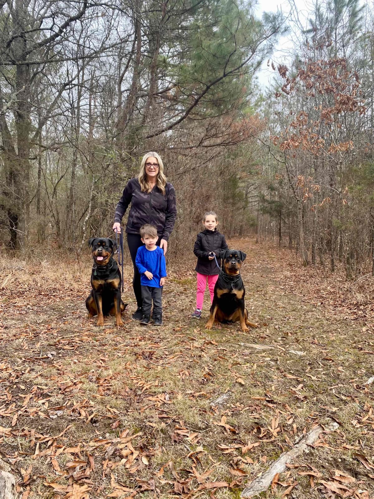 German Rottweiler Puppies, Champion and Working Bloodlines breeder image 24