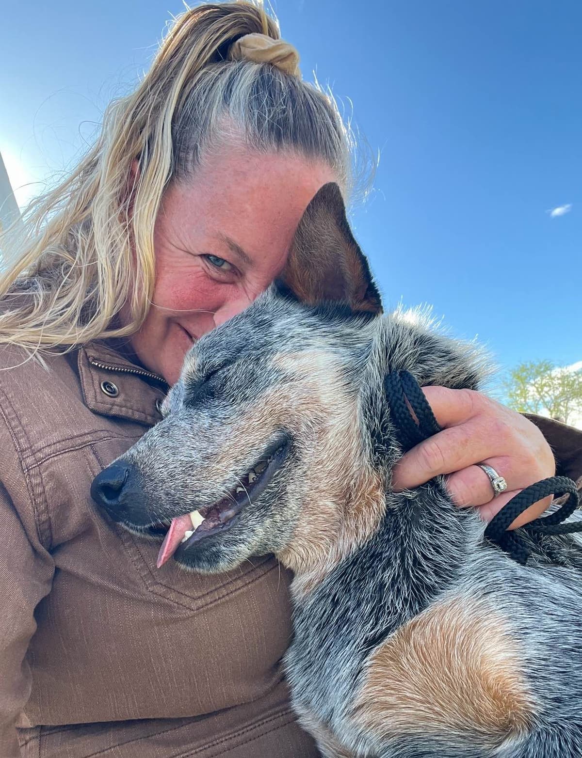 Australian Cattle Dog Puppies breeder image 4