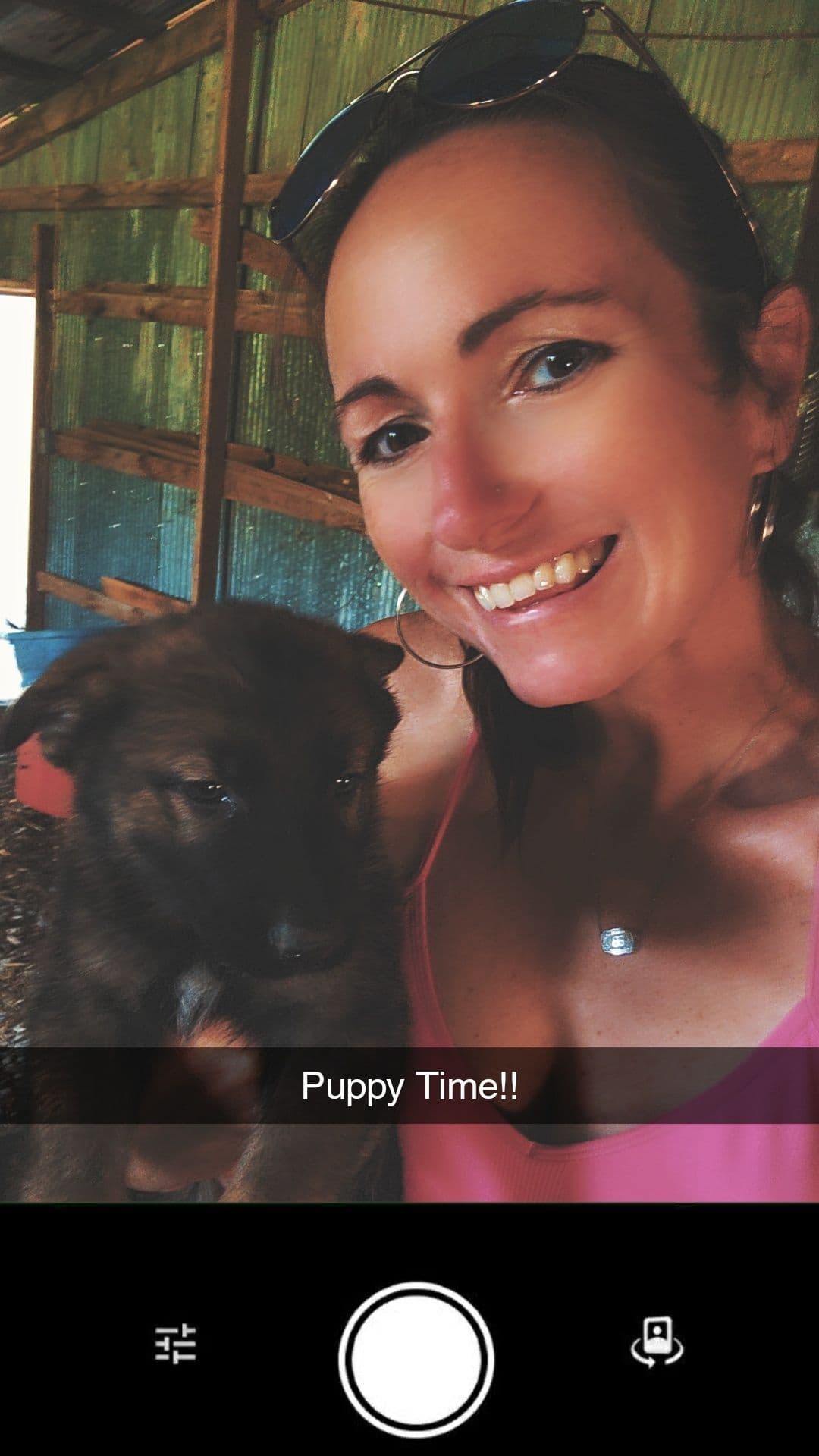 German Shepherd Dog Puppies breeder image 1