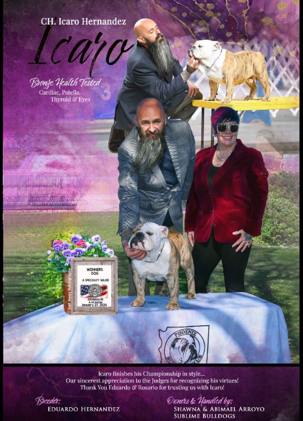 Bulldog Puppies Extensive background of Champions breeder image 2
