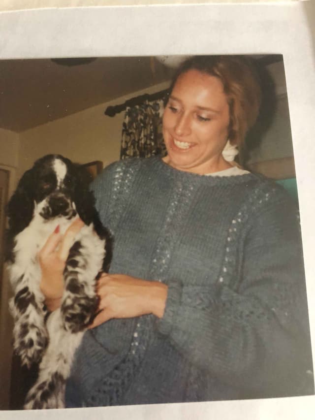 Cocker Spaniel Puppies media 3
