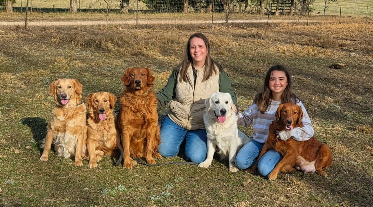 Golden Retriever Puppies breeder image 1