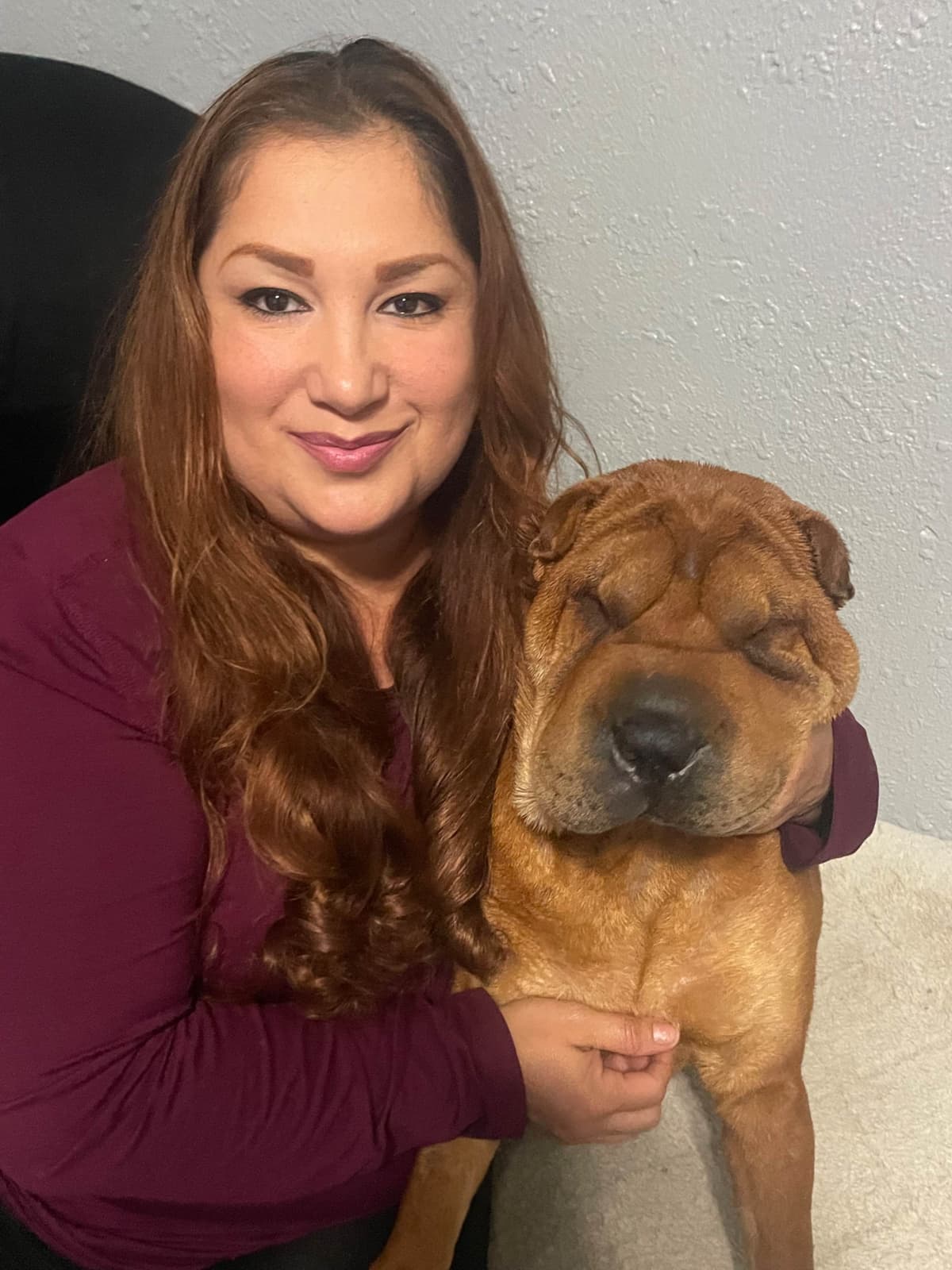 Chinese Shar-Pei Puppies breeder image 1