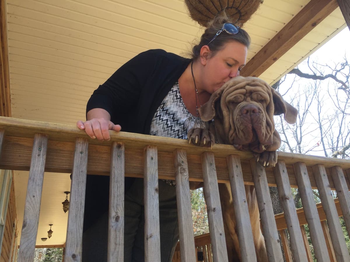 Dogue de Bordeaux Puppies breeder image 4