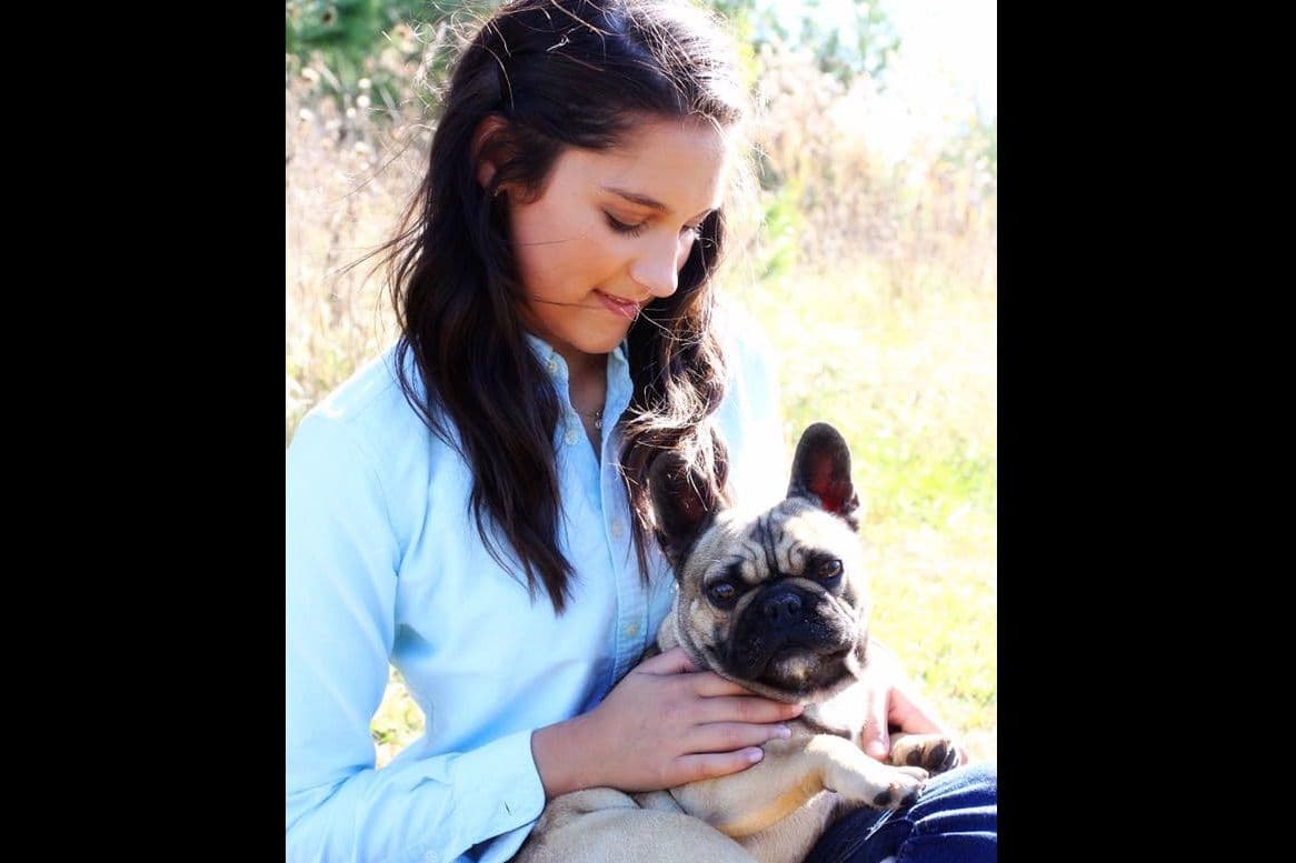 BlueGrass Frenchies: Lilac and blue males + 1 cream female breeder image 11