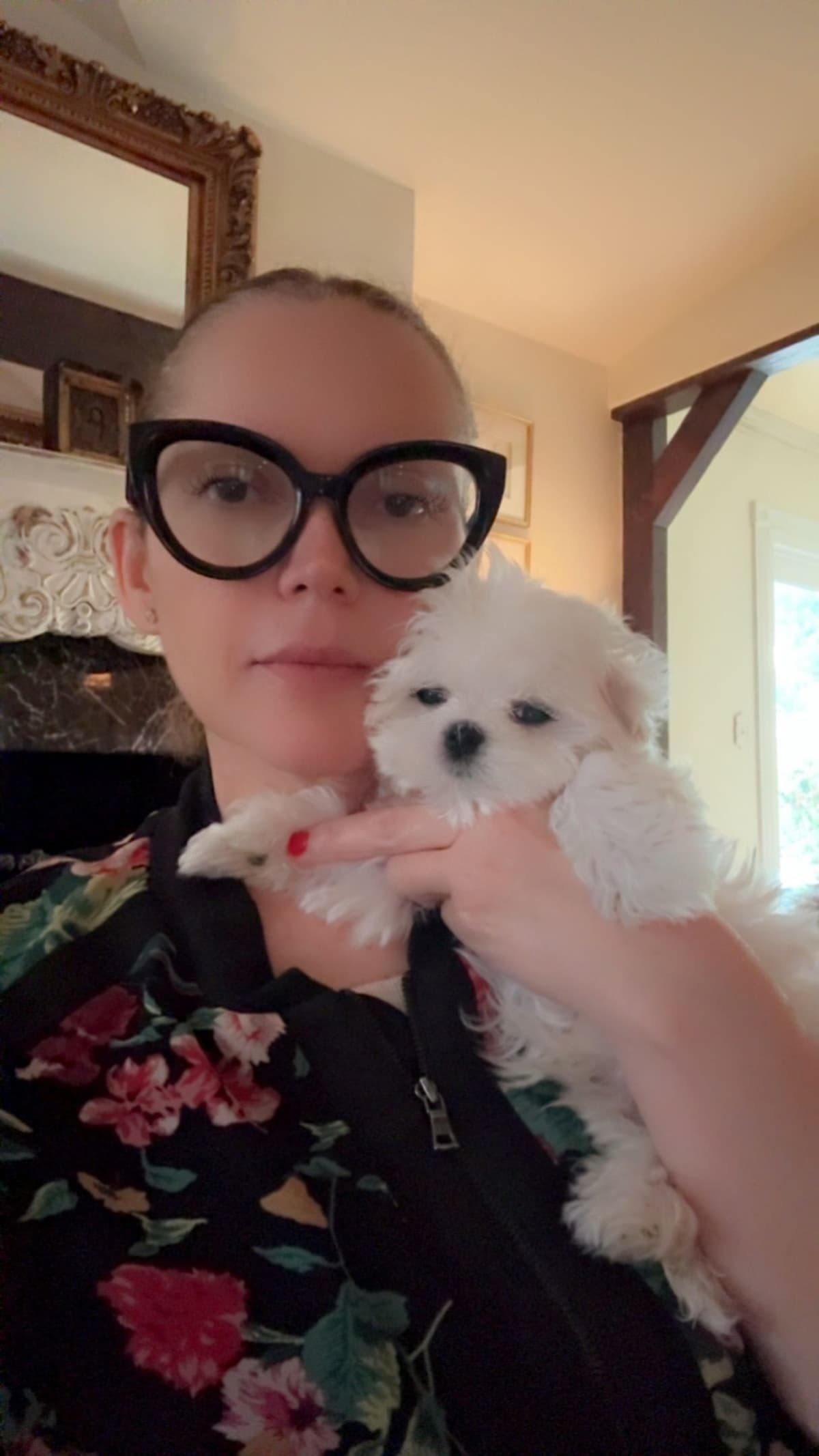 Beautiful AKC Maltese Puppies Tiny- Loving & family raised breeder image 9