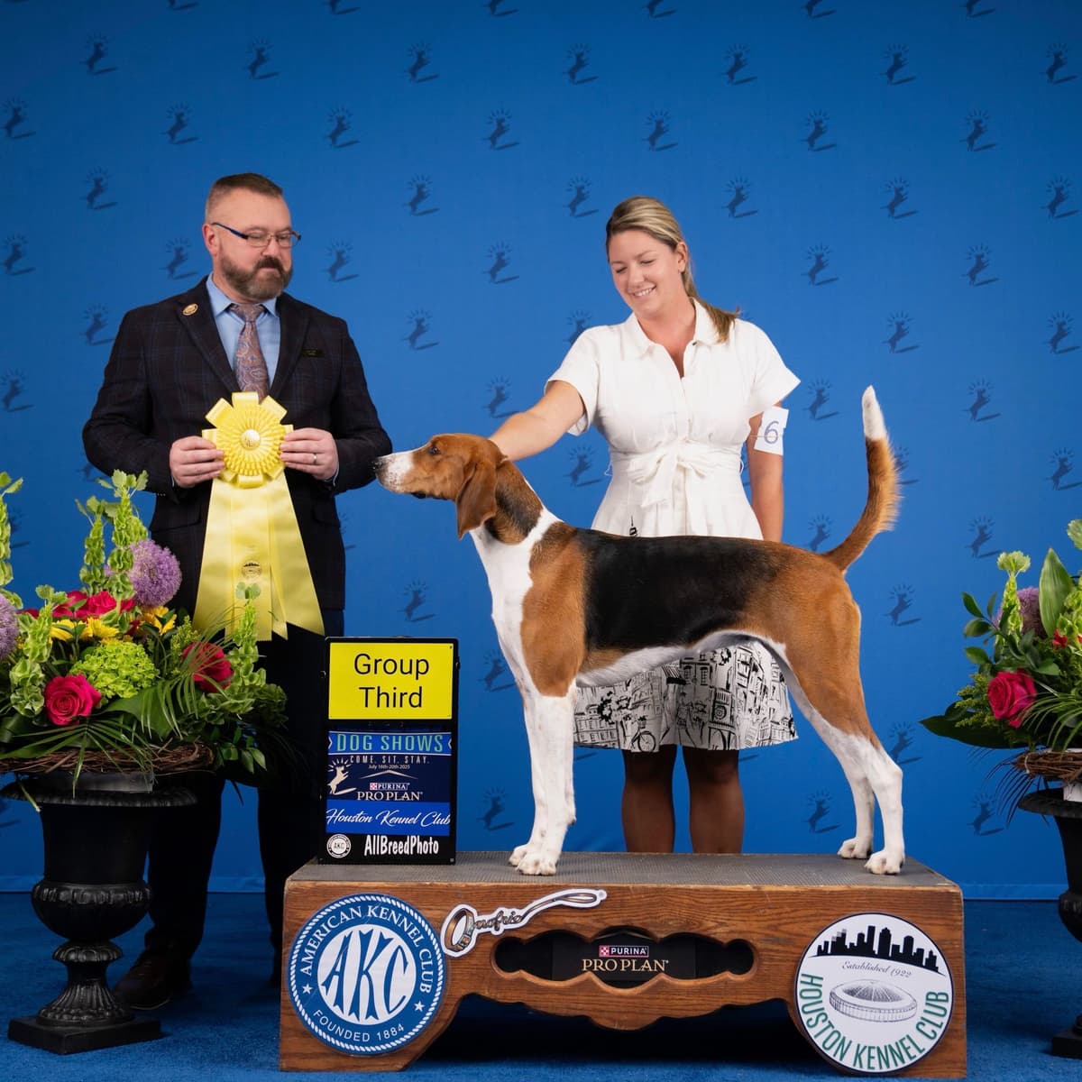 Staffordshire Bull Terrier breeder image 12