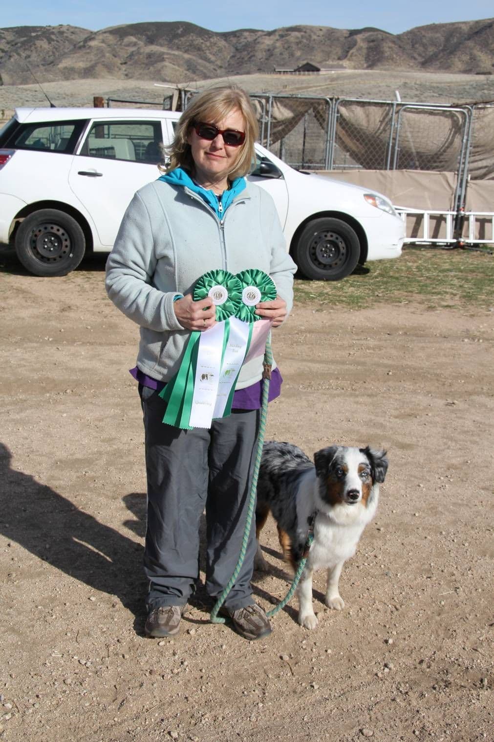 Australian Shepherd Puppies breeder image 4