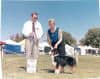 Australian Shepherd Puppies breeder image 11