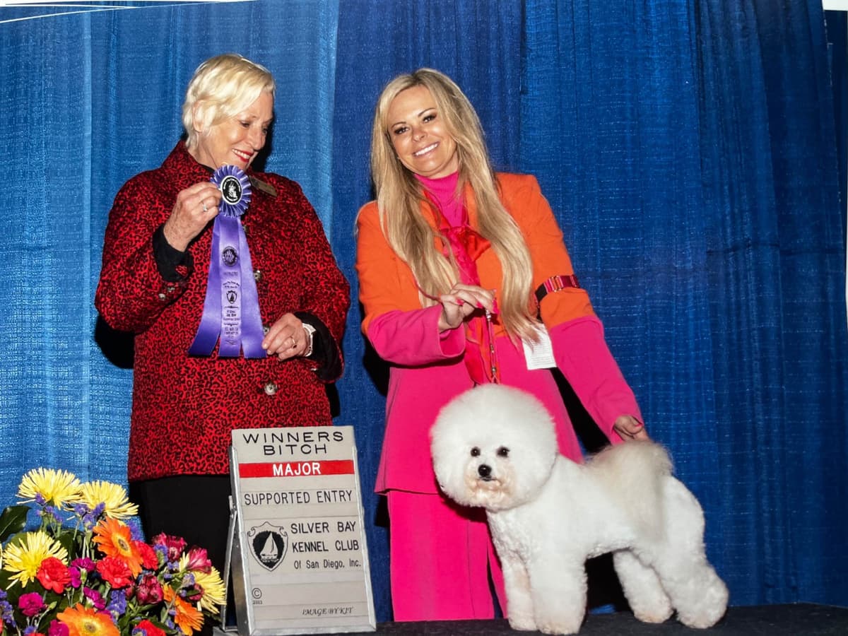 Poodle Puppies breeder image 13