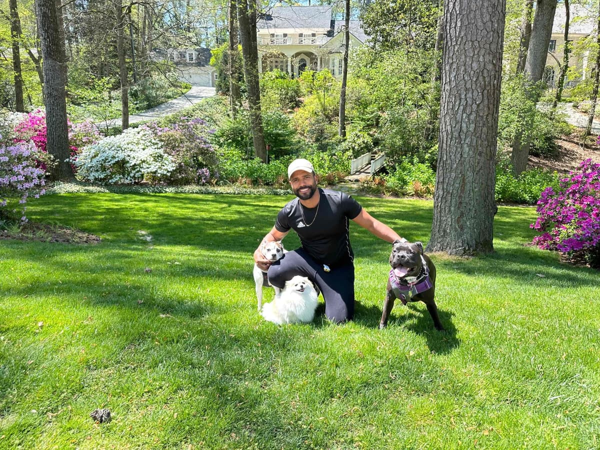 Pomeranian Puppies breeder image 1