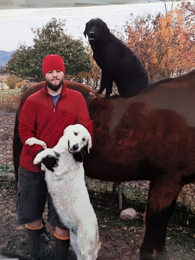 Labrador Retriever Puppies. 52-year field champ bloodline. Great pets. media 10