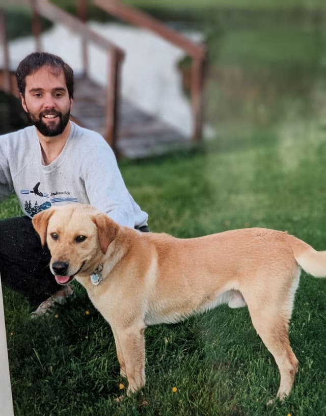 Labrador Retriever Puppies. 52-year field champ bloodline. Great pets. media 13