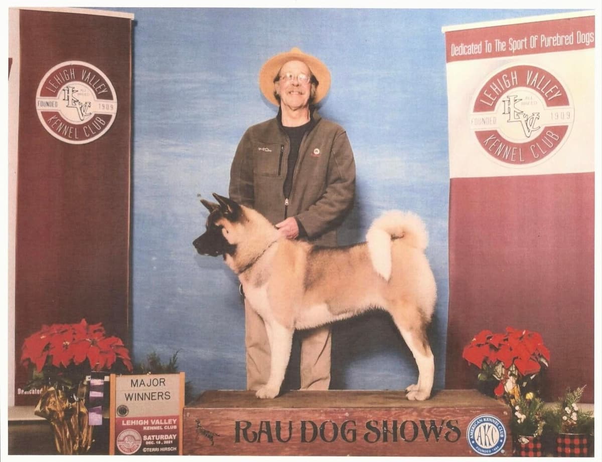 Champion Lineage American Akita Puppy breeder image 2