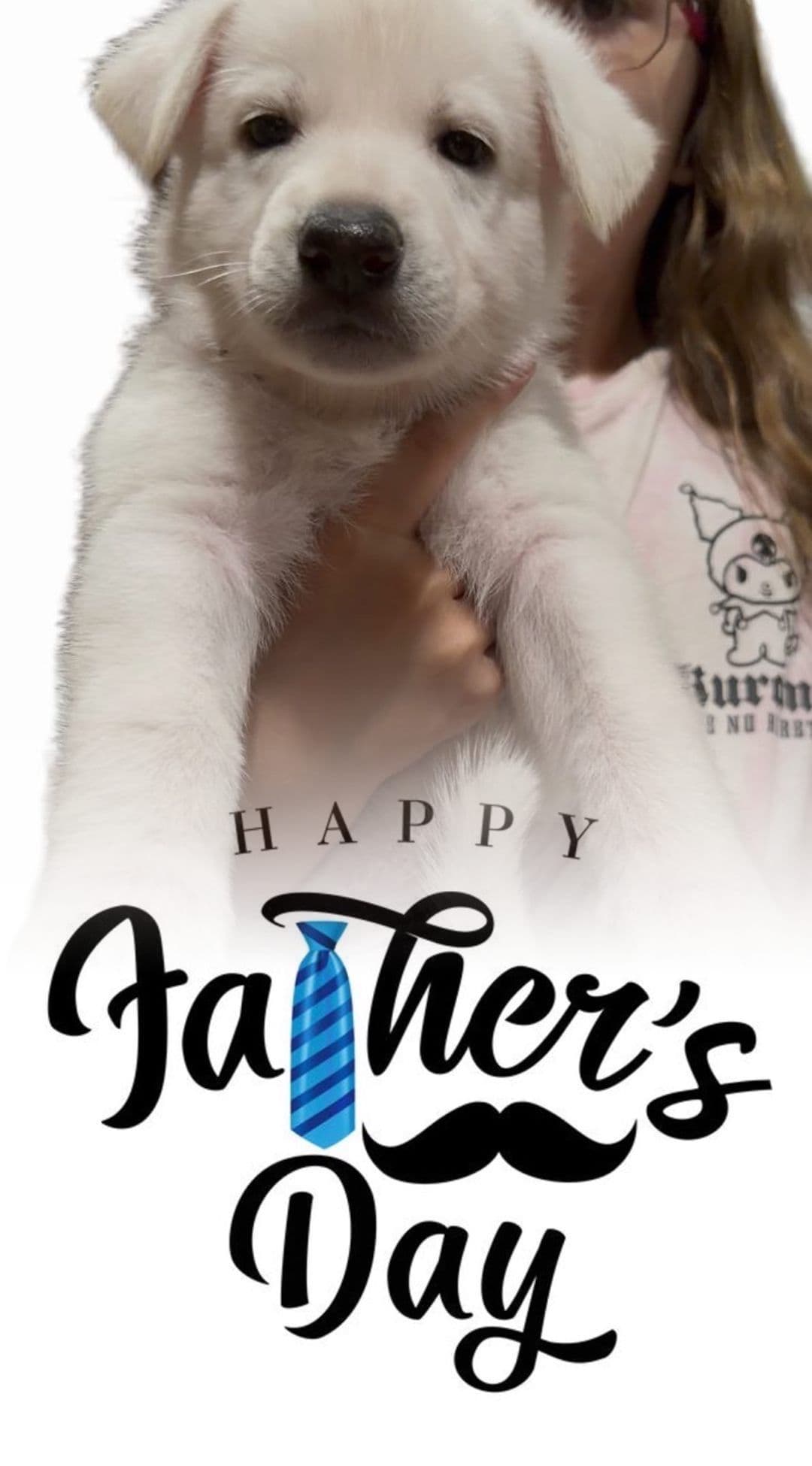 Diamond White German Shepherds 805-603-6246 breeder image 8