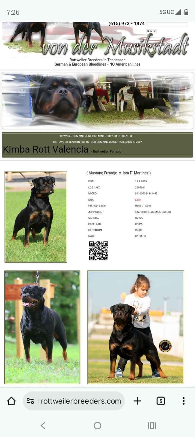 Dam & Sire Pedigree is stacked with well known names. media 19