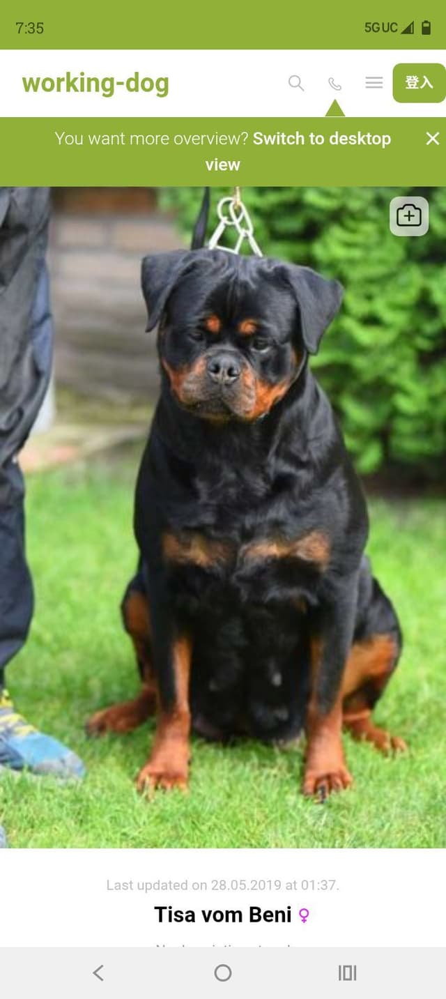 Dam & Sire Pedigree is stacked with well known names. media 22